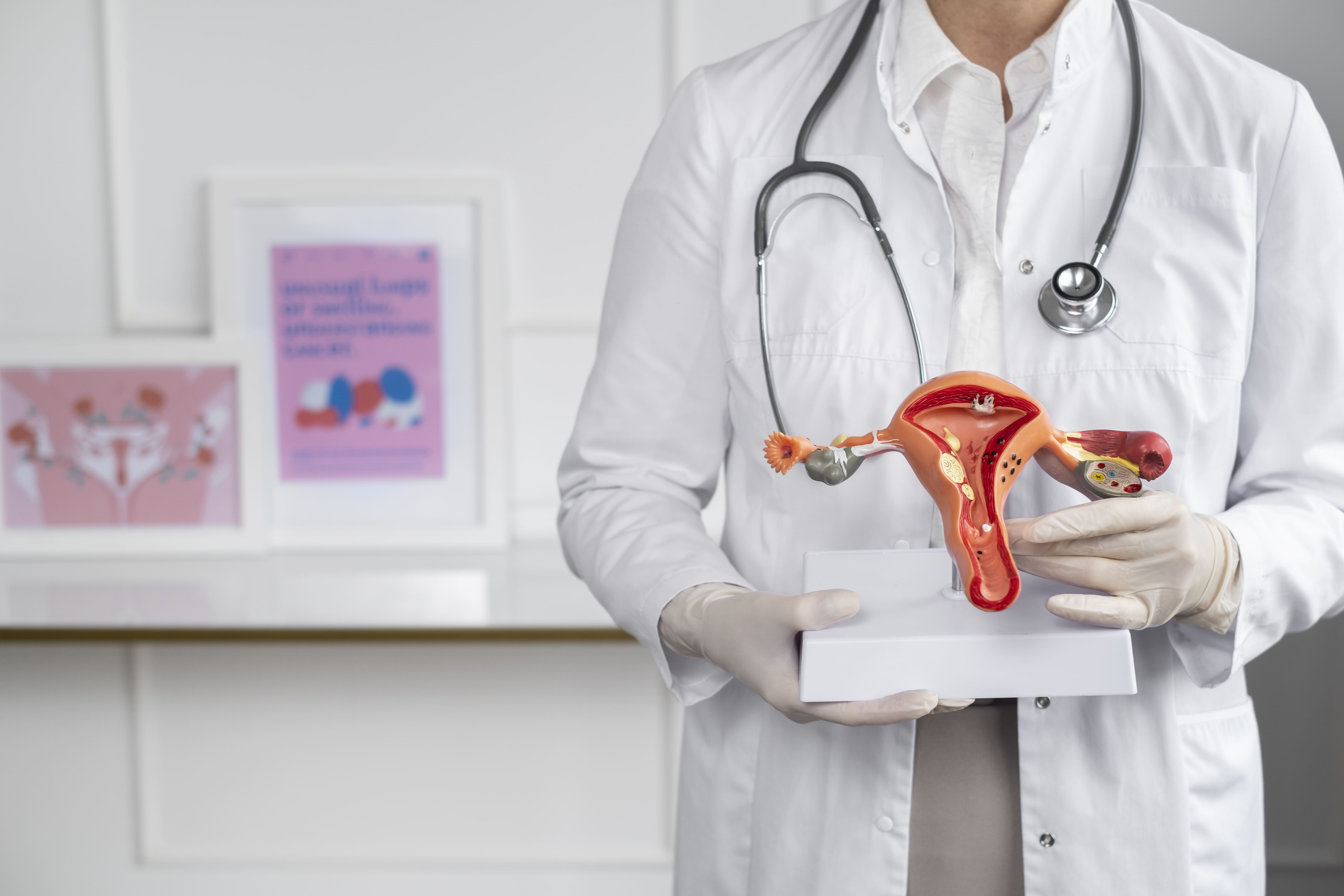 Cosmetic Gynecology